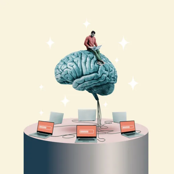 Организованное домашнее пространство